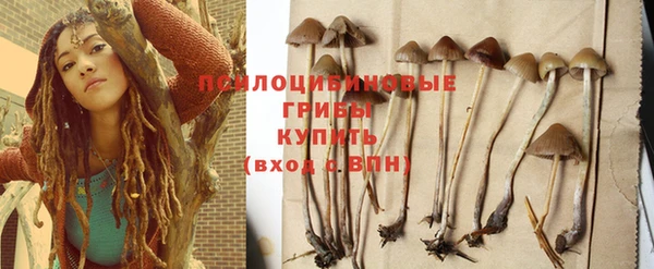 кристаллы Белокуриха