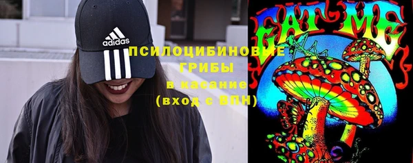 spice Покачи