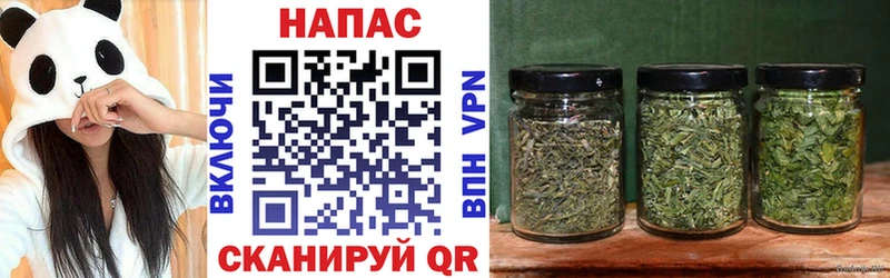 omg сайт  дарк нет телеграм  Плёс  Канабис сатива  закладки 